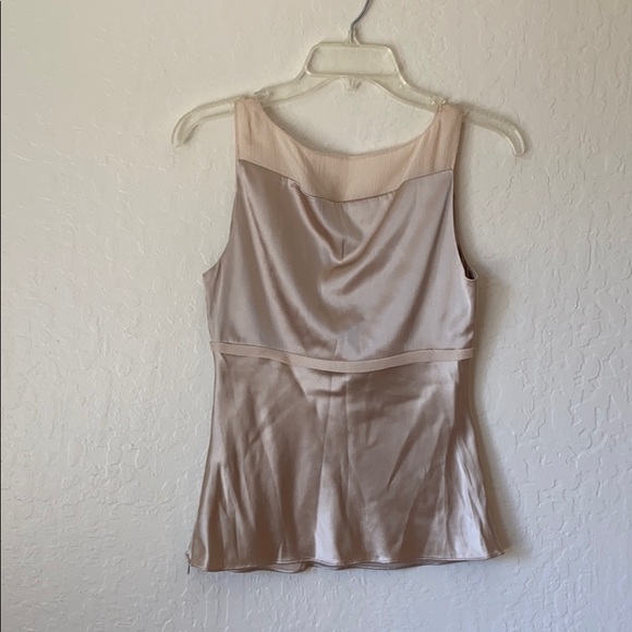 Express Design Studio delicate champagne blouse - Picture 3 of 4